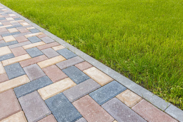 Best Commercial Driveway Pavers  in Brighton, CO